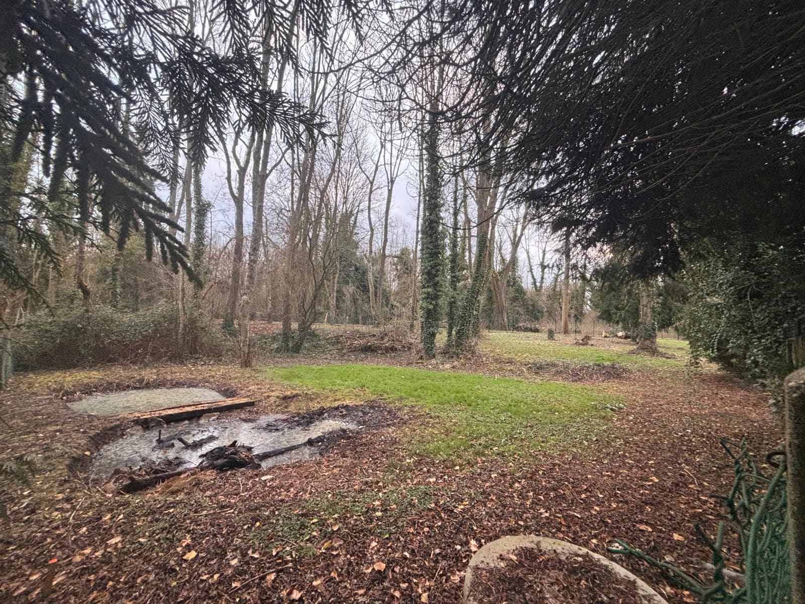 Terrain arboré constructible - Labbeville